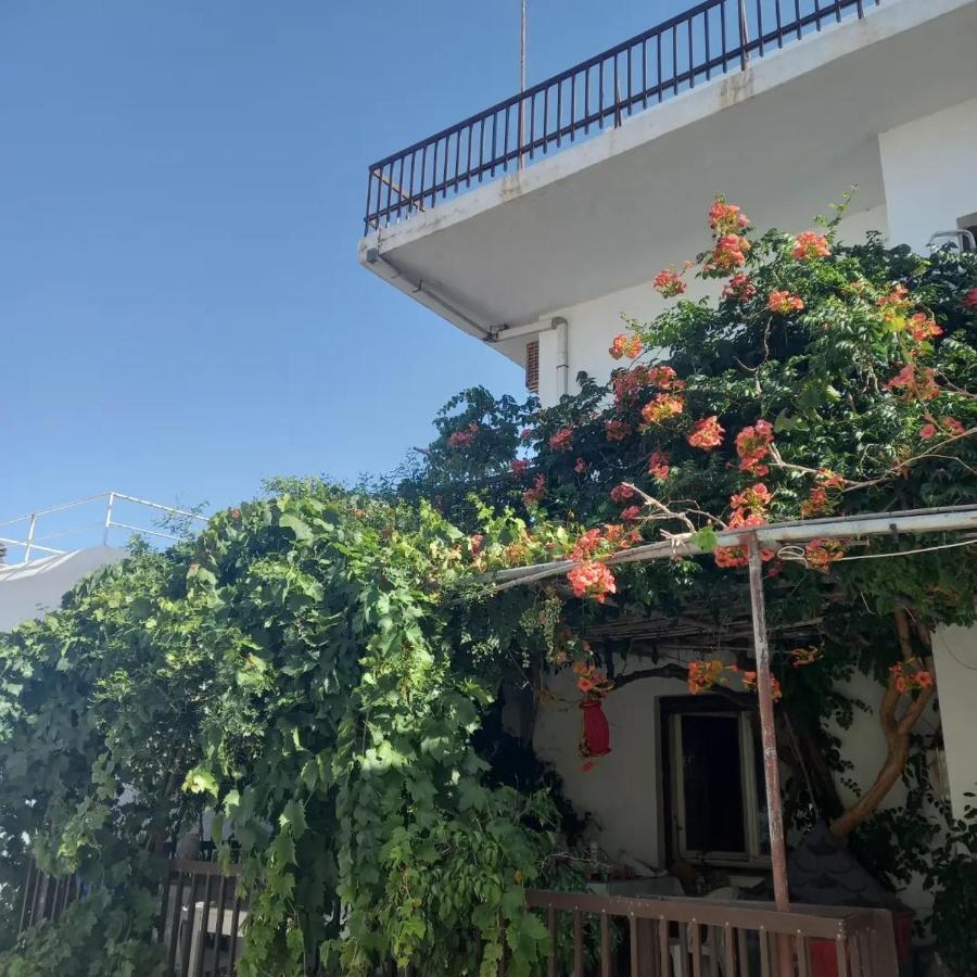 Ampelos Andros Batsi Exterior foto